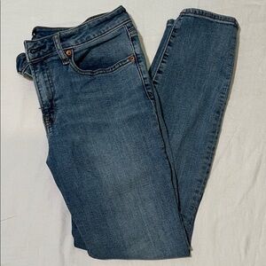 J. Jill Women's Blue Skinny Jeans